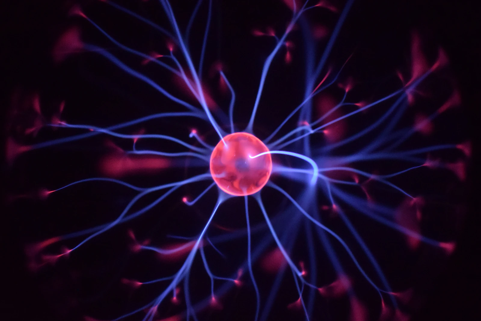 Liknelsen för den fastande  är en man som bär på en säck mysk