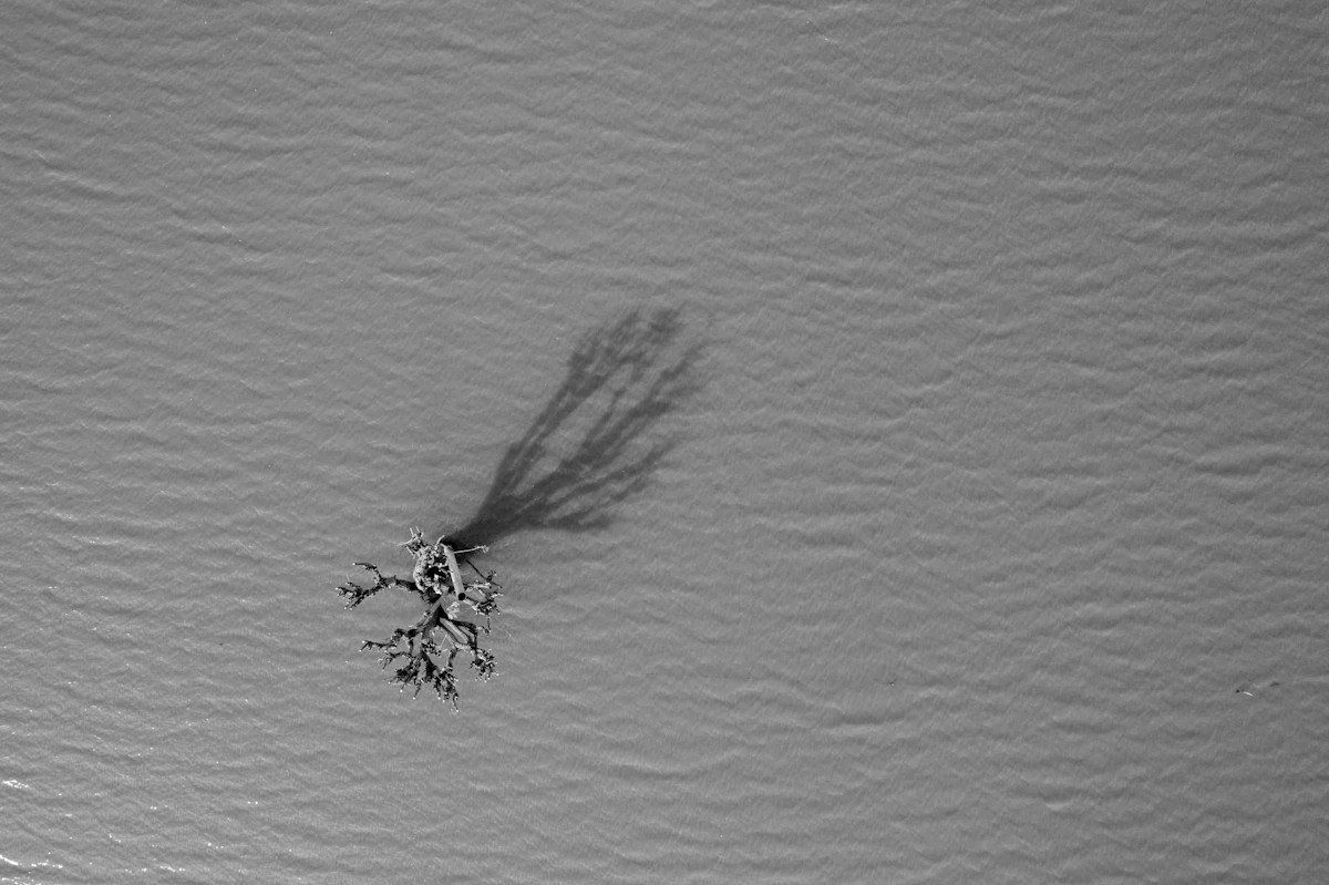 Annica: Folk visar mig mer respekt