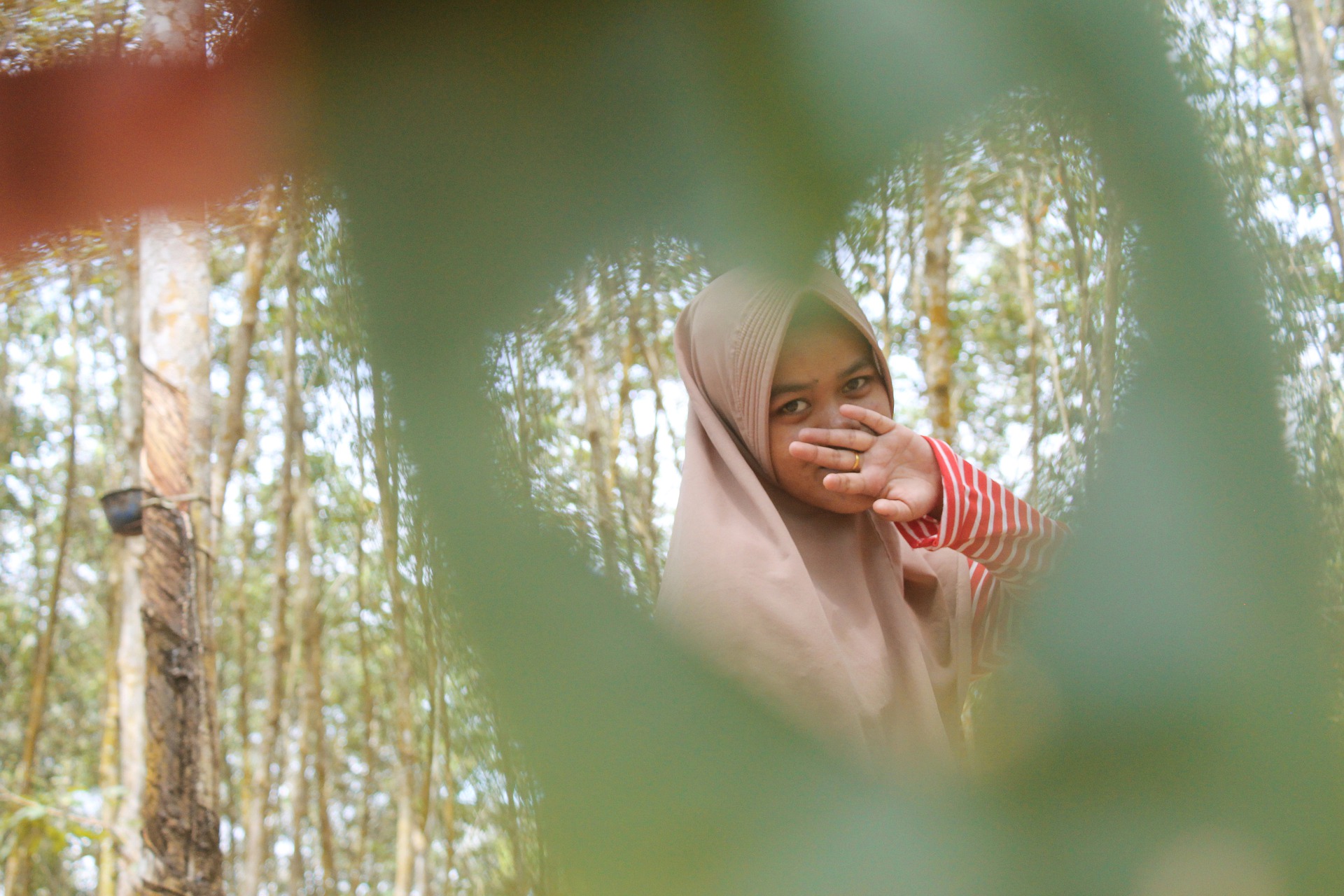 Moderns rättigheter